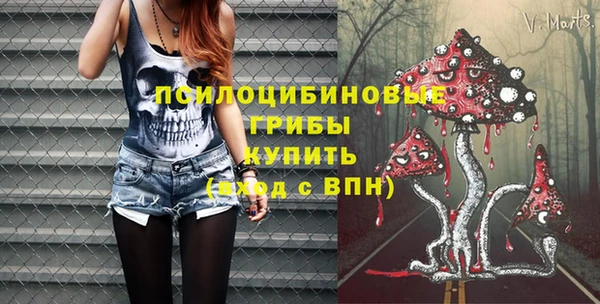 твердый Карпинск