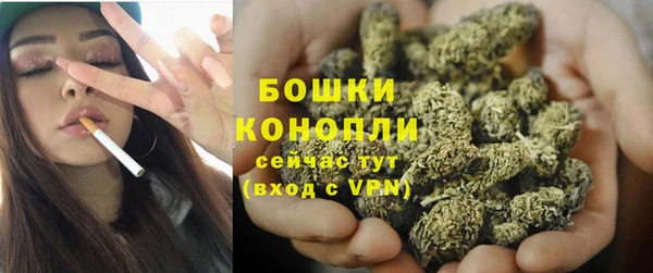Альфа ПВП Касимов