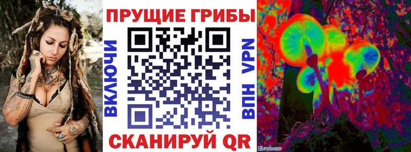 Псилоцибиновые грибы мицелий  KRAKEN зеркало  Арзамас 