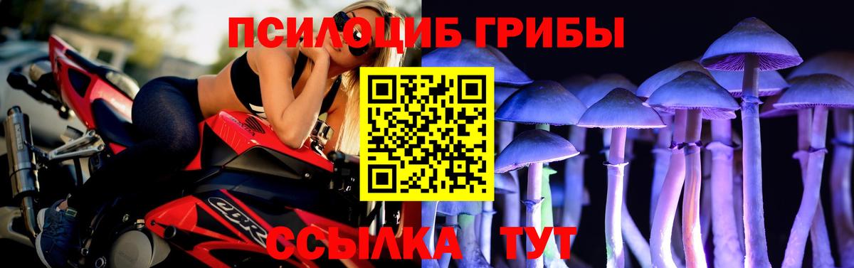Псилоцибиновые грибы мицелий Арзамас